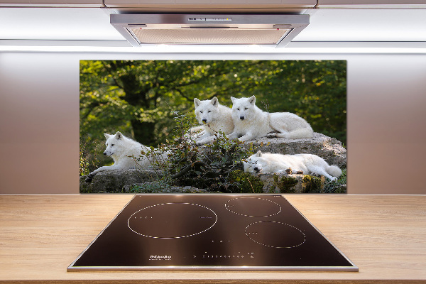 Kitchen splashback White wolves rock