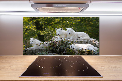 Kitchen splashback White wolves rock