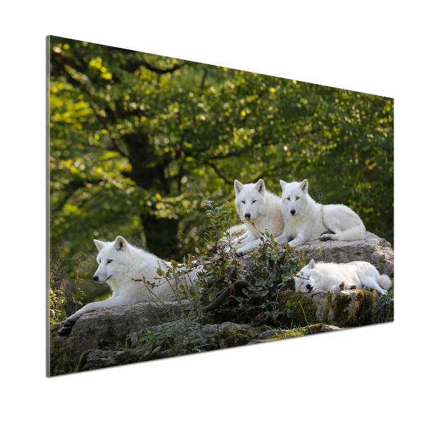 Kitchen splashback White wolves rock