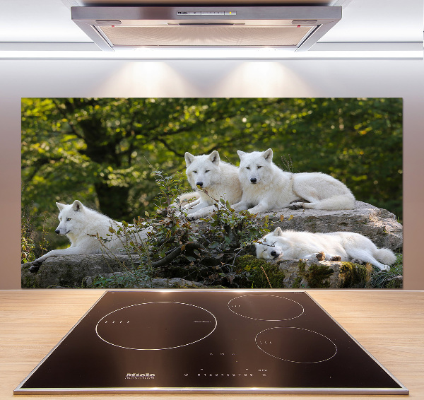 Kitchen splashback White wolves rock