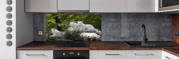 Kitchen splashback White wolves rock