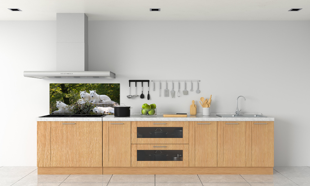 Kitchen splashback White wolves rock