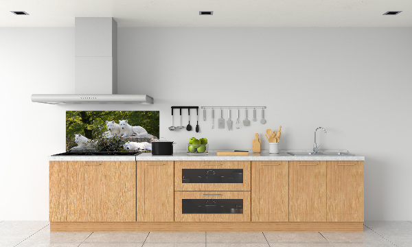 Kitchen splashback White wolves rock