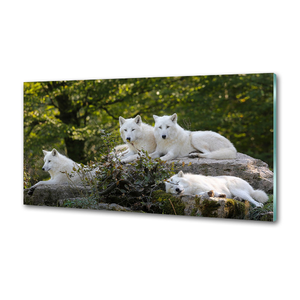 Kitchen splashback White wolves rock