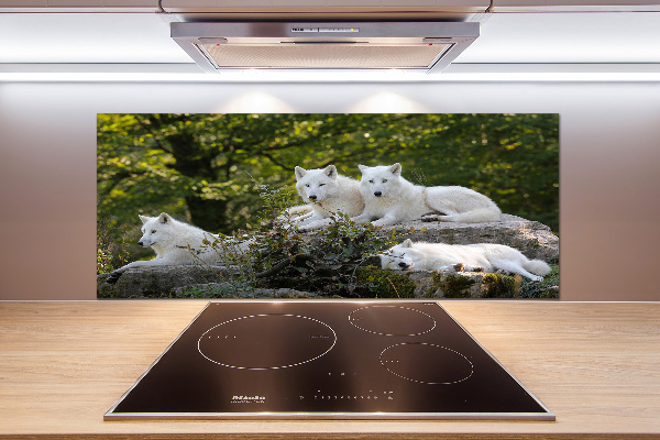 Kitchen splashback White wolves rock