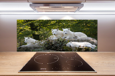 Kitchen splashback White wolves rock