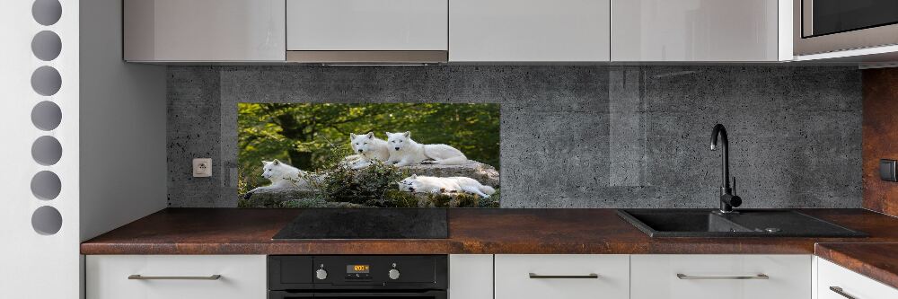 Kitchen splashback White wolves rock