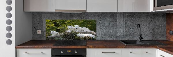 Kitchen splashback White wolves rock