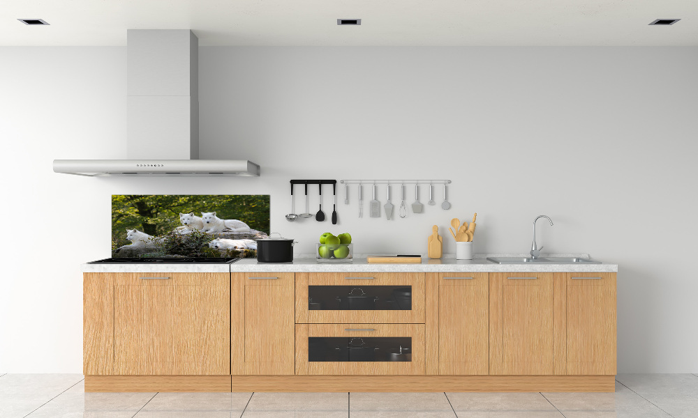 Kitchen splashback White wolves rock