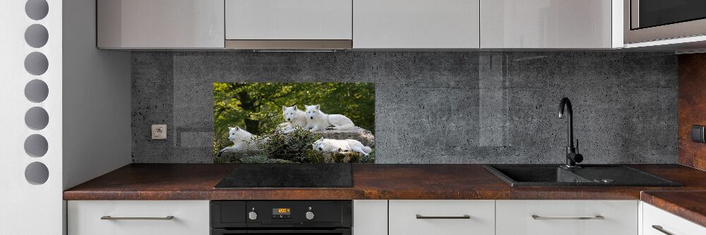 Kitchen splashback White wolves rock