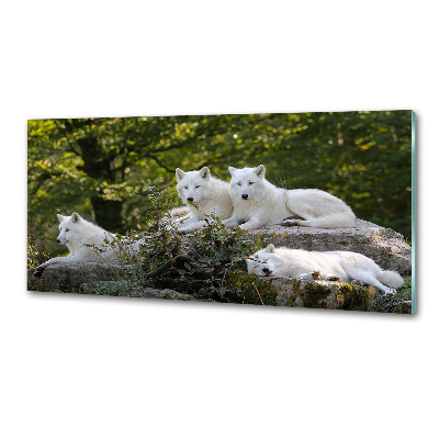 Kitchen splashback White wolves rock