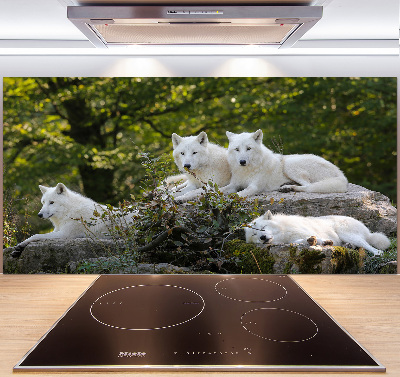 Kitchen splashback White wolves rock