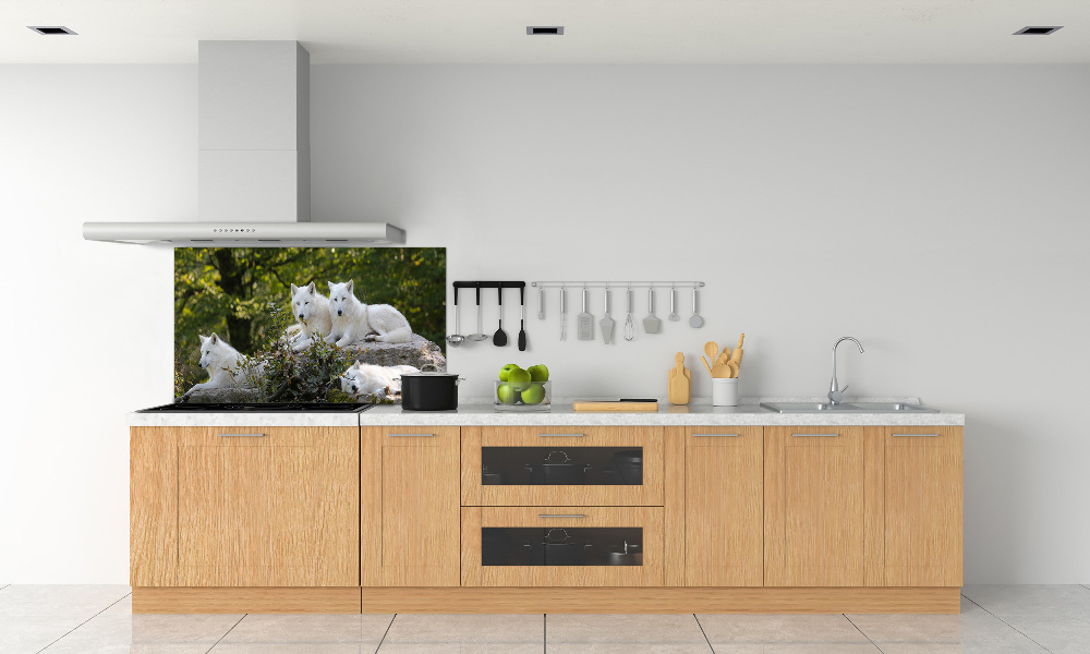 Kitchen splashback White wolves rock