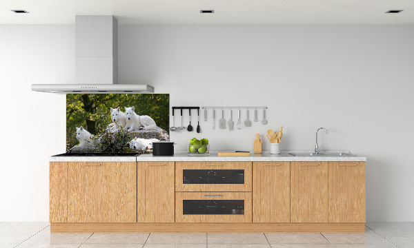 Kitchen splashback White wolves rock