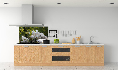 Kitchen splashback White wolves rock