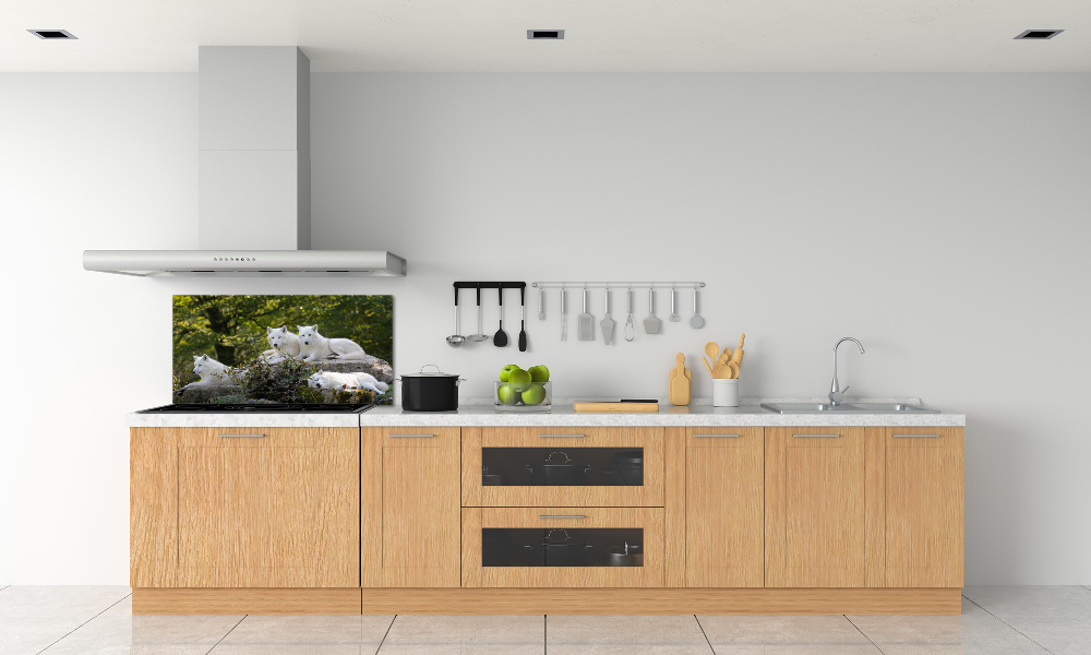 Kitchen splashback White wolves rock