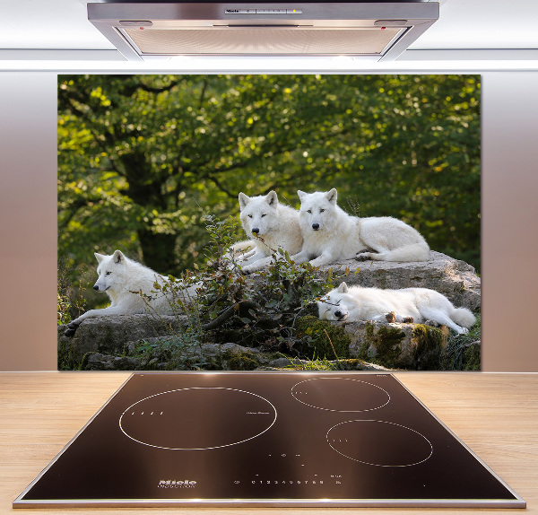 Kitchen splashback White wolves rock