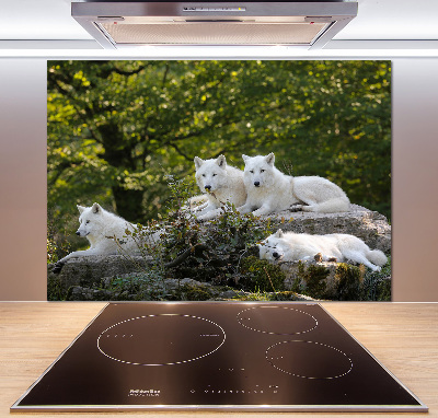 Kitchen splashback White wolves rock