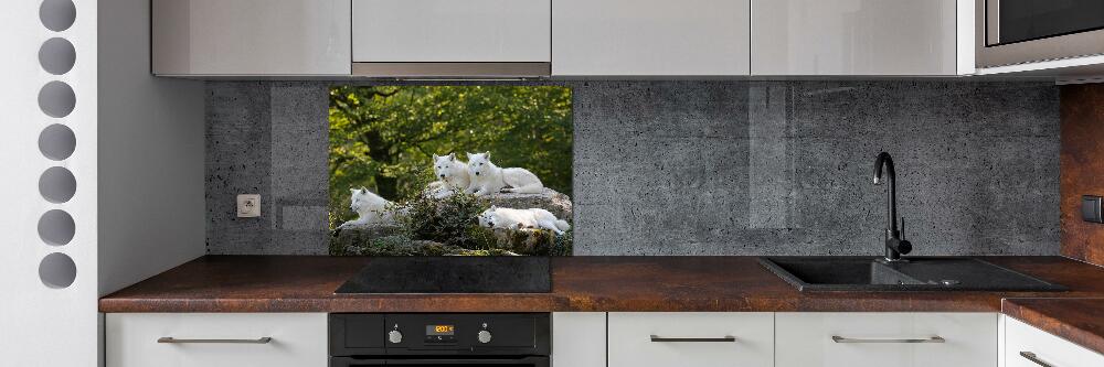 Kitchen splashback White wolves rock