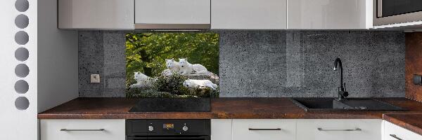 Kitchen splashback White wolves rock