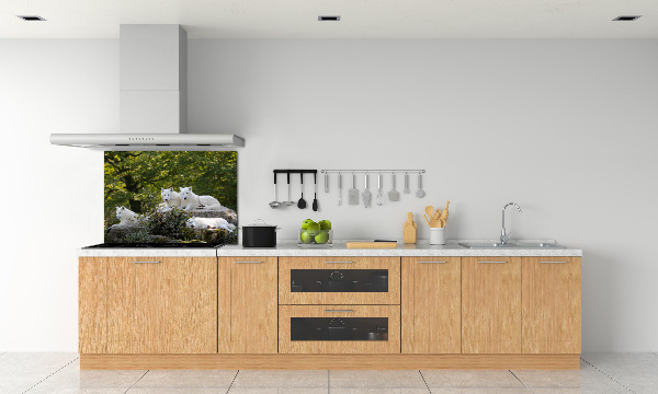 Kitchen splashback White wolves rock