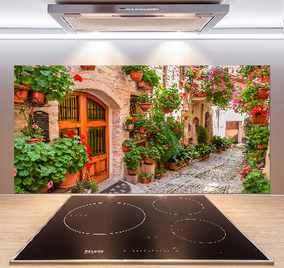 Cooker splashback Charming street