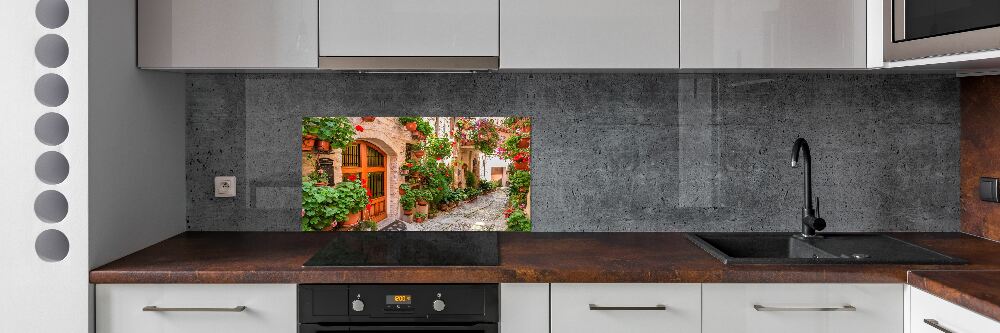 Cooker splashback Charming street