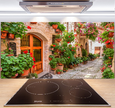 Cooker splashback Charming street