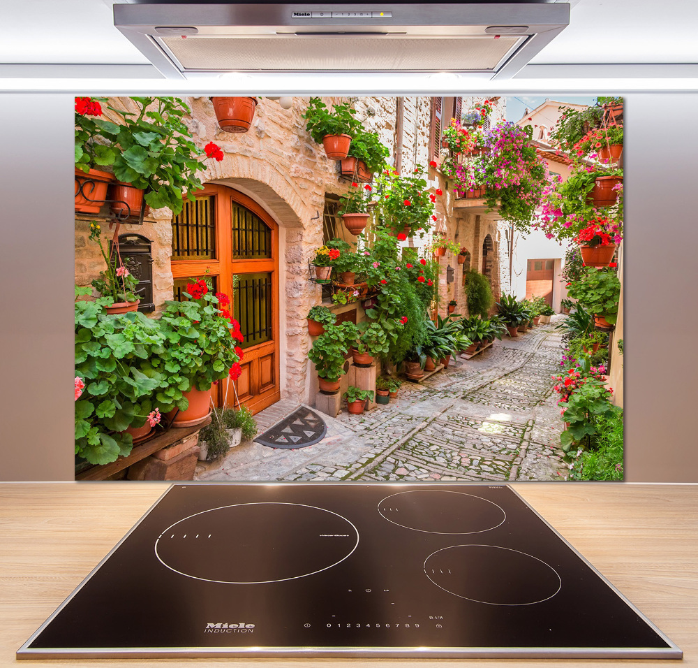 Cooker splashback Charming street