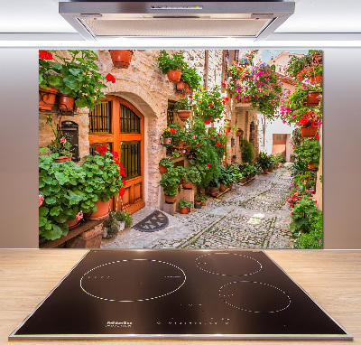 Cooker splashback Charming street