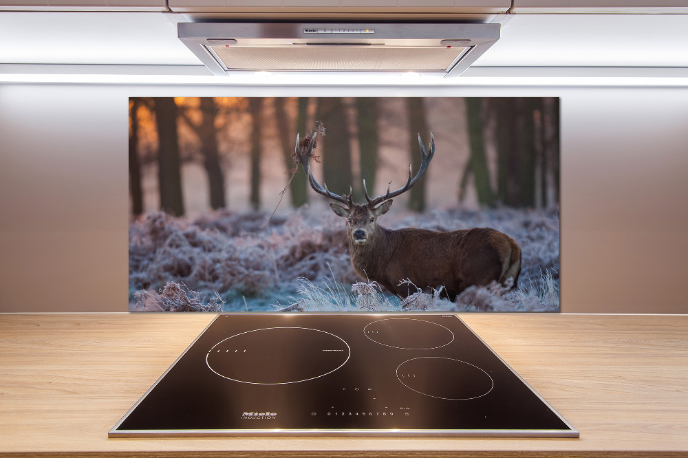 Kitchen splashback Deer about the east