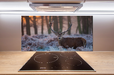 Kitchen splashback Deer about the east