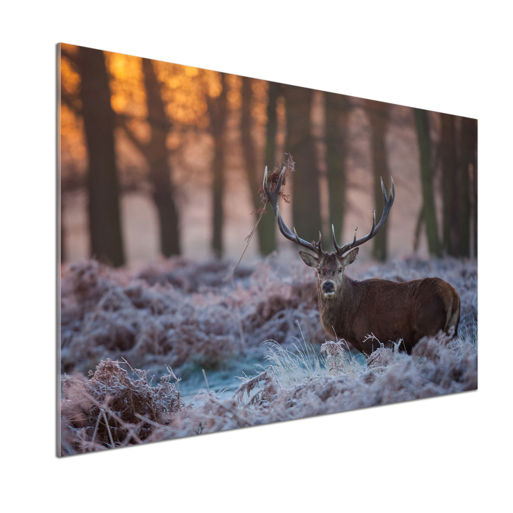 Kitchen splashback Deer about the east