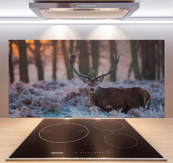 Kitchen splashback Deer about the east