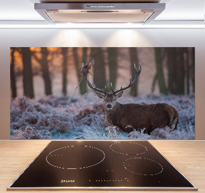 Kitchen splashback Deer about the east