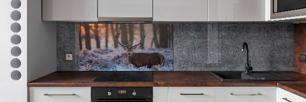 Kitchen splashback Deer about the east