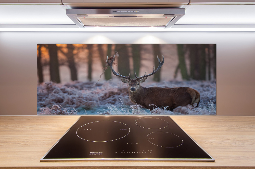 Kitchen splashback Deer about the east