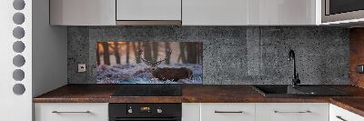 Kitchen splashback Deer about the east