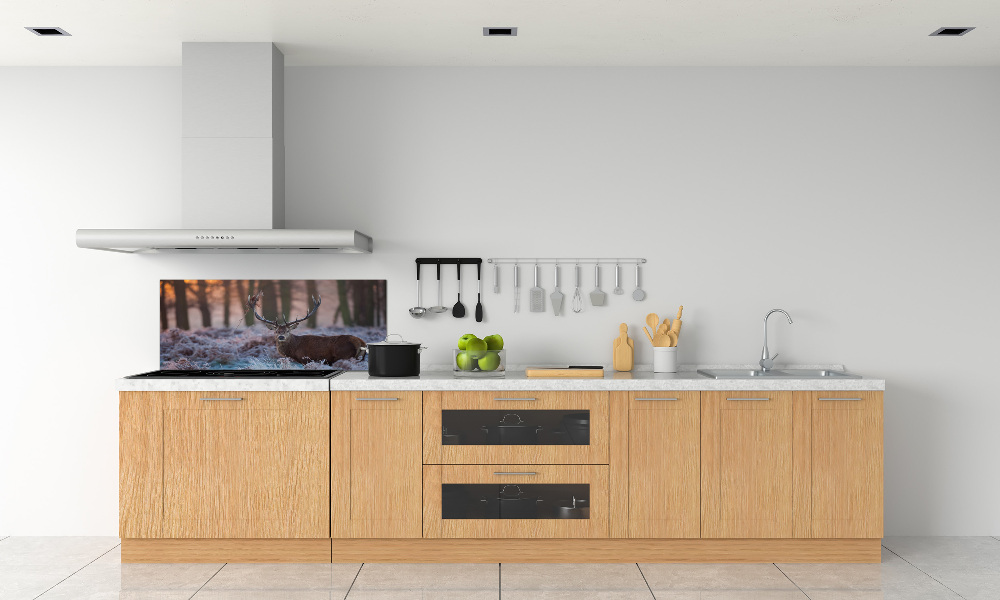 Kitchen splashback Deer about the east