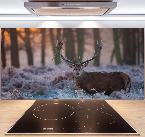 Kitchen splashback Deer about the east