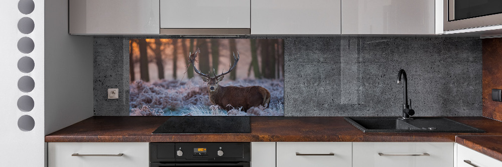 Kitchen splashback Deer about the east