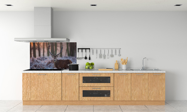 Kitchen splashback Deer about the east