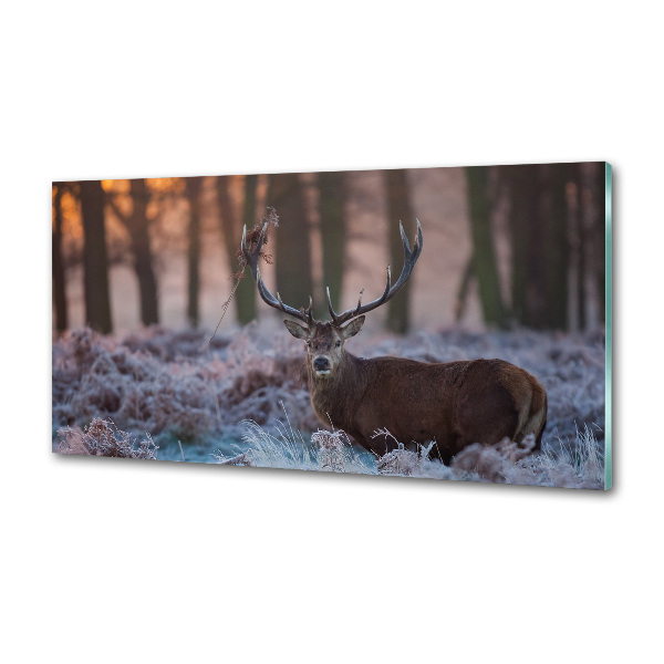 Kitchen splashback Deer about the east