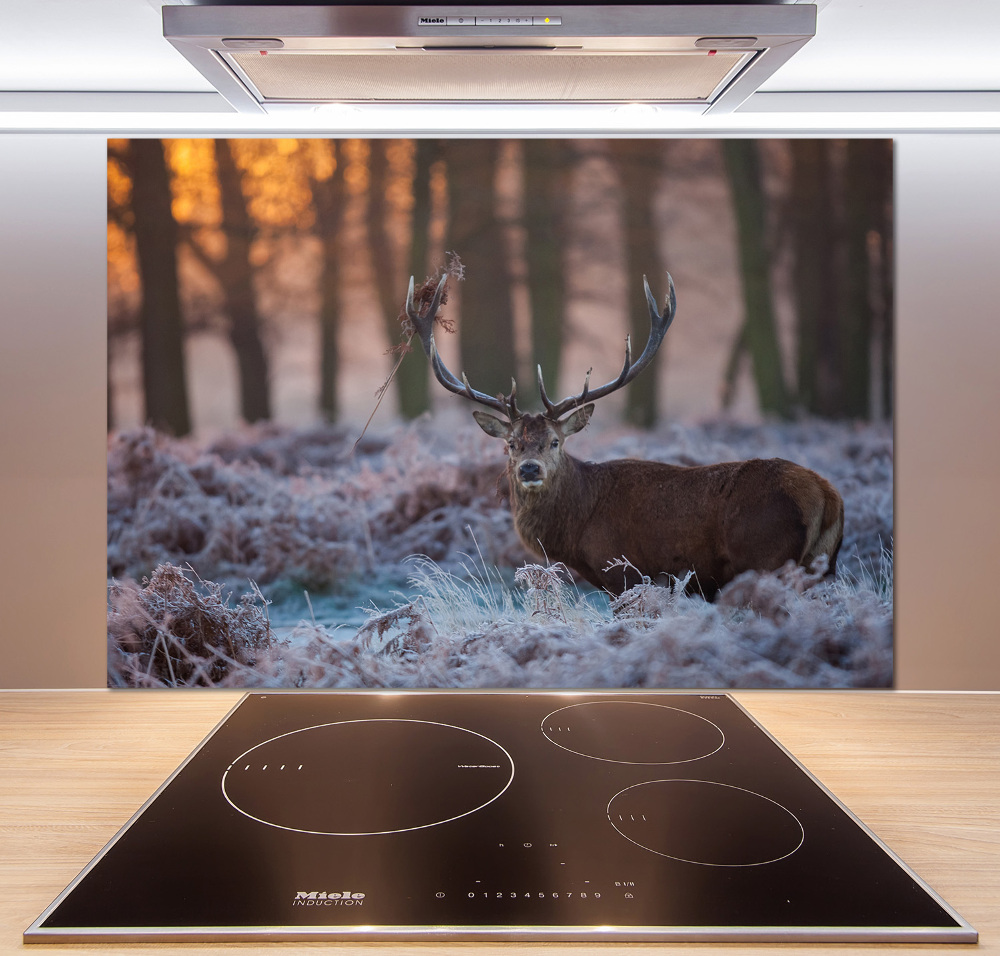 Kitchen splashback Deer about the east