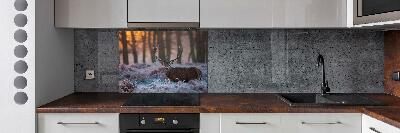 Kitchen splashback Deer about the east