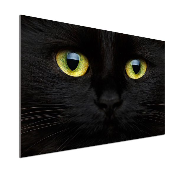 Kitchen splashback Cat's eyes