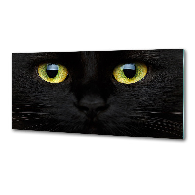 Kitchen splashback Cat's eyes