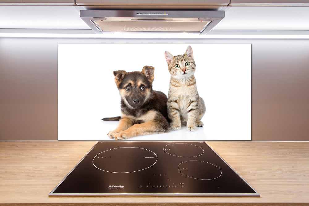 Kitchen splashback Dog and cat