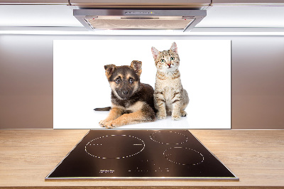 Kitchen splashback Dog and cat