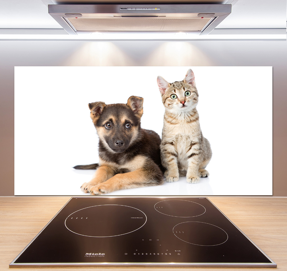 Kitchen splashback Dog and cat